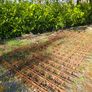 Reinforcing Mesh A393 (Full Sheet) 4.8m x 2.4m Image 3