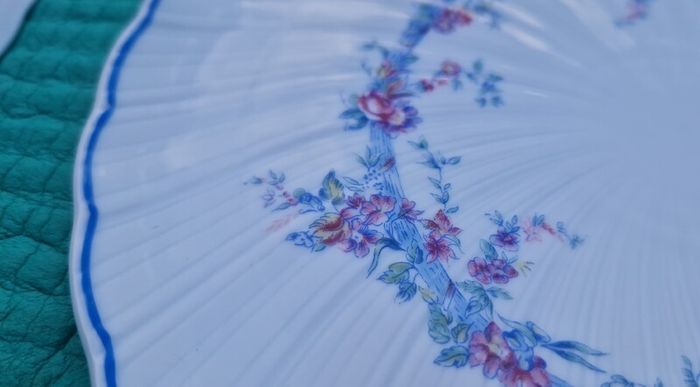 6 Stunning Bernardaud Limoges Marie Louise Plates, 20cm