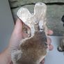 Vintage chalkware terrier dogs Image 4