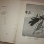 Vintage Considered Trifles H.m. Bateman Image 9