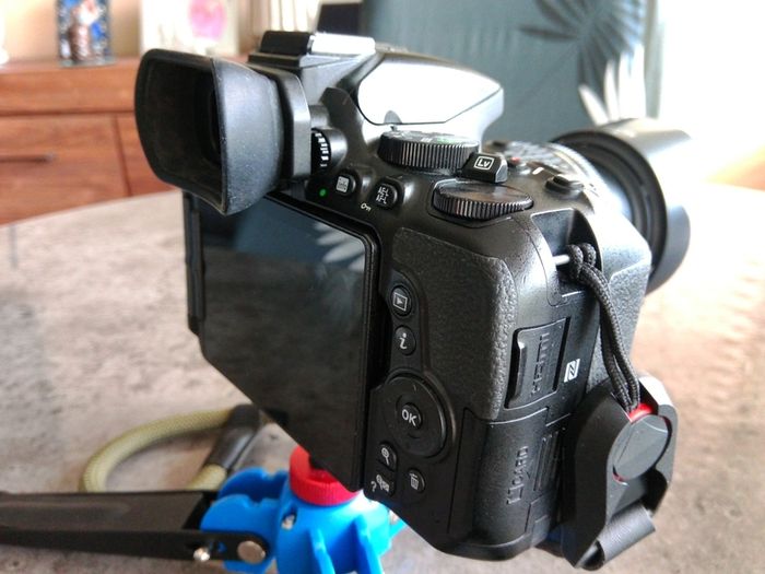 Nikon D5600