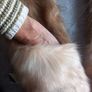 Scarf Image 7