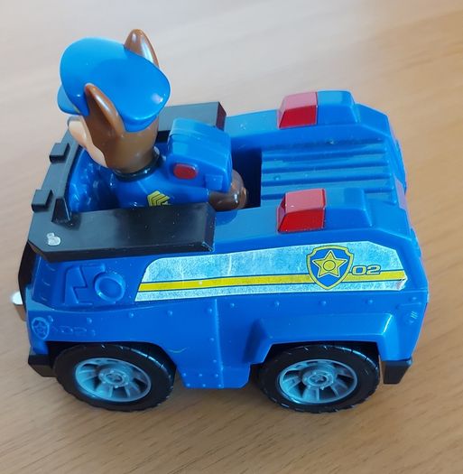 Paw Patrol Case