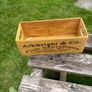 planter Image 4