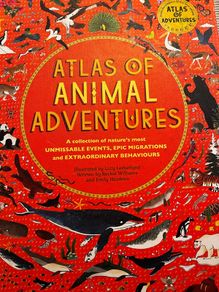 childens books  - bundle (ages 8 + )