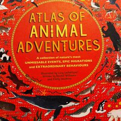 childens books  - bundle (ages 8 + )