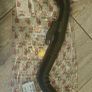 Intake Hose, air filter GPP-RE-127 Image 2