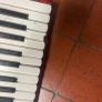 Piano Accordion Image 4
