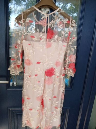 Stunning Gina BACCONI Dress