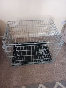 House training and travelling crate