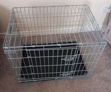 House training and travelling crate