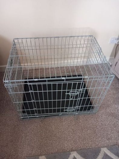 House training and travelling crate
