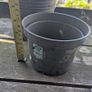 Plastic pots Image 2