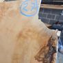 Live Edge Sycamore Slab Image 2