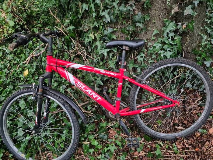 mountain bikes