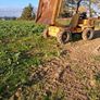 5 ton thwaites Image 5