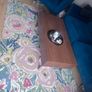 Big Rug Image 4