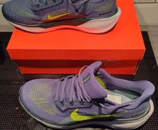 Nike Pegasus 41