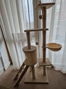 cat tree