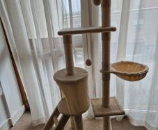 cat tree