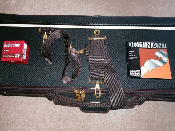 MC Neela Advanced Violin set