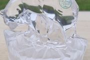 Eamon glass polar bears