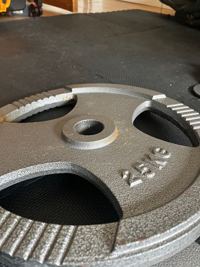 25kg weight plates