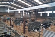 Power Livestock Ventilation System PLS