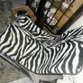 CAVALLI postmodern zebra chrome chair Image 4
