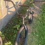 bmx Image 2