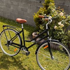 vintage reid bike
