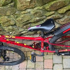 2 Carrera bikes matching adult's + kid's