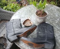 Johnny Bull Boots for sale, in excellent condition. Size 44 or 9.5 to 10 Ireland / UK. Open to Offers