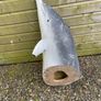 Dolphin model life size Image 2