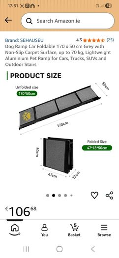 dog ramp