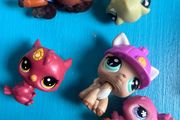 little Pet shop