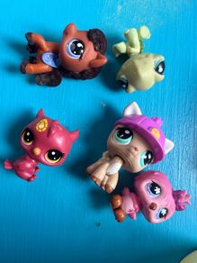 little Pet shop