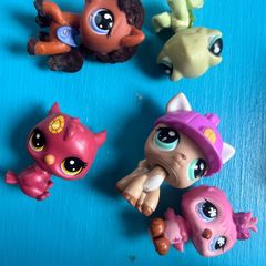 little Pet shop