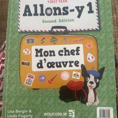 French Allons-Y 1 workbook