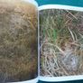 Ten thousand years deep (book) Image 3