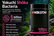 Yokuchi Shoka Bacteria 40g - bacteria strains derived from the natural environment