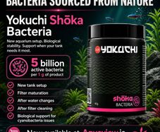 Yokuchi Shoka Bacteria 40g - bacteria strains derived from the natural environment