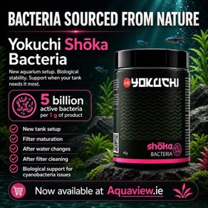 Yokuchi Shoka Bacteria 40g - bacteria strains derived from the natural environment