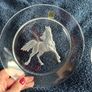 Hoya Tokyo Crystal set of 2 intaglio horse plates Image 2