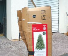 christmas tree