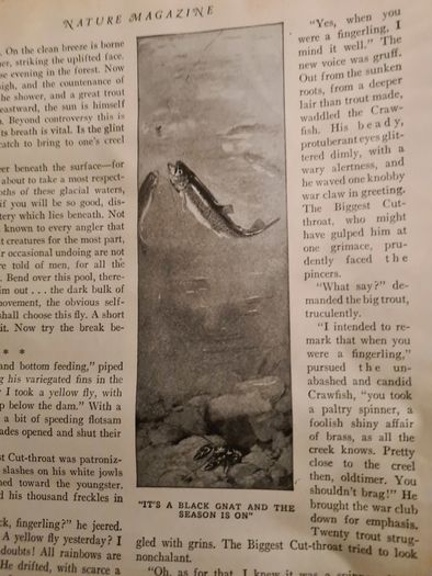 Rare Vintage.  1929. April Edition.  Volume 13 No4 Magazine.
