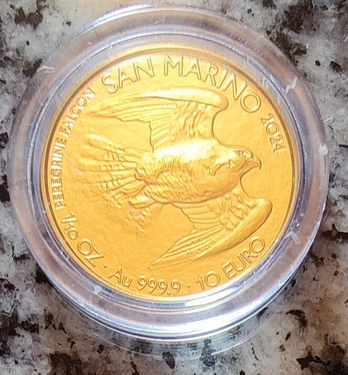 San Marino 10 Euro Gold (.999) Brilliant Uncirculated Coin 2024 - Peregrine Falcon