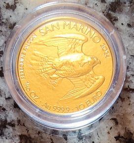 San Marino 10 Euro Gold (.999) Brilliant Uncirculated Coin 2024 - Peregrine Falcon