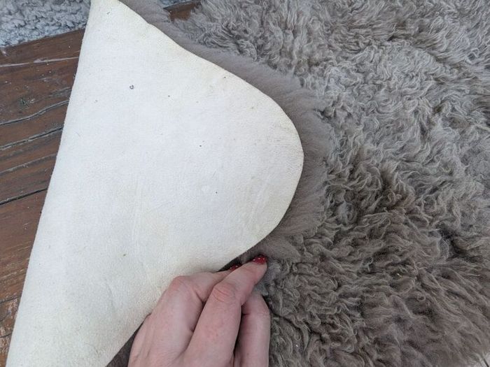 rug