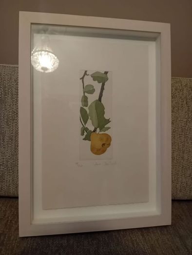 Cliona Doyle Framed Signed Print Cydonia 99 of 220 Irish Art